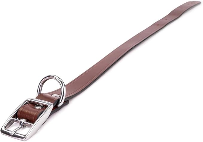 King Buck Leather Dog Collar with D Ring, Leather, Small