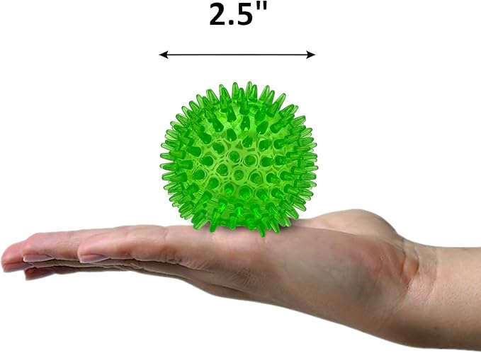 Cutie's PetBox Squeaky Rubber Spike Toy Ball for Small Dogs (2.5 Inch, Green)