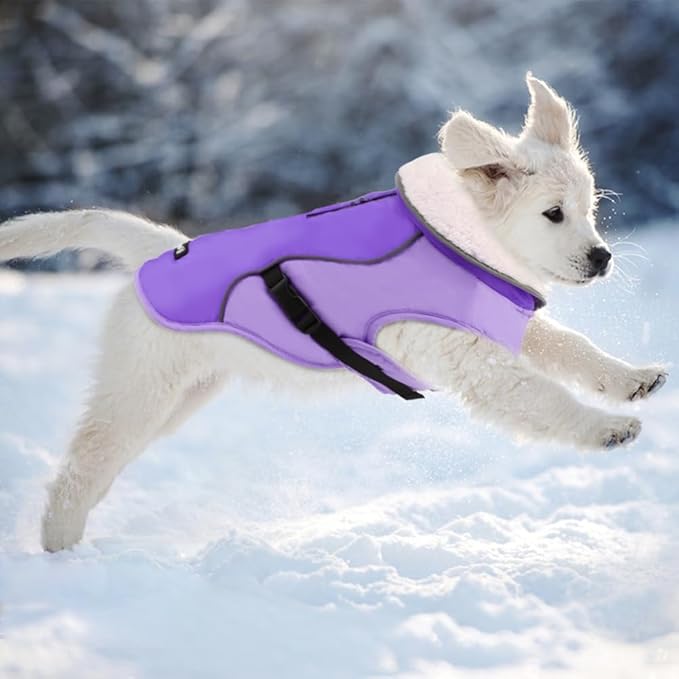 EMUST Dog Jacket Winter, Cozy Windproof Dog Jacket for Cold Weather, Solid Color Dogs Vests for Winter for Medium Dogs,New Purple, M