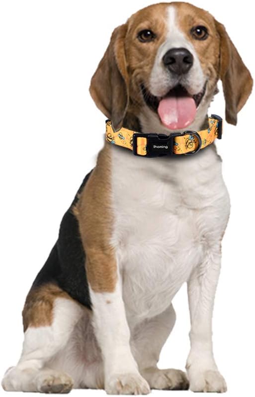 Ihoming Dog Collar and Leash Set for Daily Outdoor Walking Running Training, Bee Design for Small Boys Girls Dogs Cats Pets, S-Up to 20LBS