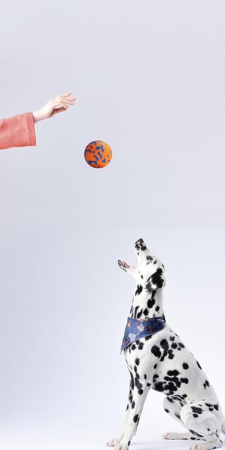 Dog Balls, Indestructible Dog Toy Ball for Aggressive Chewers, Durable High Elasticity Interactive Ball for Training Dog Catch and Fetch, Large Medium Small Dog and Puppies(Orange, 2.5in, 1pcs)