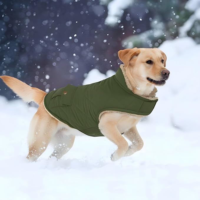 ASENKU Warm Dog Winter Coat, Waterproof Dog Coat for Cold Weather, Fleece Dogs Jacket with Ultra Thick Plush Lining Leash Hole Storage Pockets for Medium Dogs (Green, Medium)