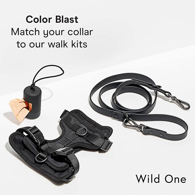 Wild One Dog Collar, Easy-Clean, All Weather Flex-Poly Strap with Metal, Durable, Dirt and Odor Resistant (Black, M)