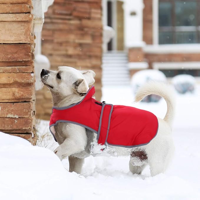 MIGOHI Warm Dog Coat Winter Dog Jacket,Waterproof Cold Weather Coats for Dogs,Fleece Jacket for Small Medium Large Dogs,Reflective Thick Fleece Vest with Leash Hole