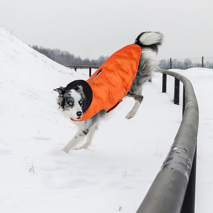 Nanaki Small Dog Puffer Jacket with Leash Hole, Warm Winter Coat Dog Puffer Coat Reflective, Lightweight Windproof Snowsuit for Hiking Walking Outdoor Activities, Halloween Christmas Easy on, Orange