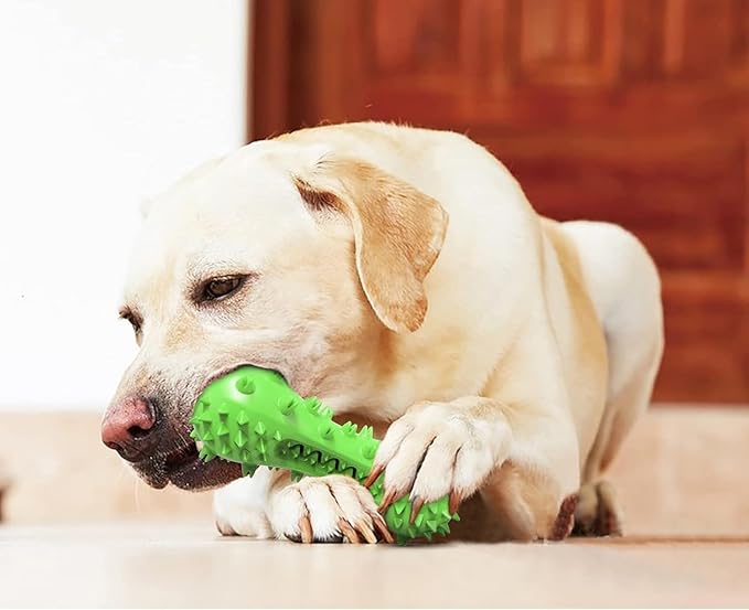 Dog Toy, Toothbrush Dogs Chew Squeaky Toys, Durable Bones for Aggressive Chewers, Dental Oral Care for Small, Medium and Large Dogs - Green