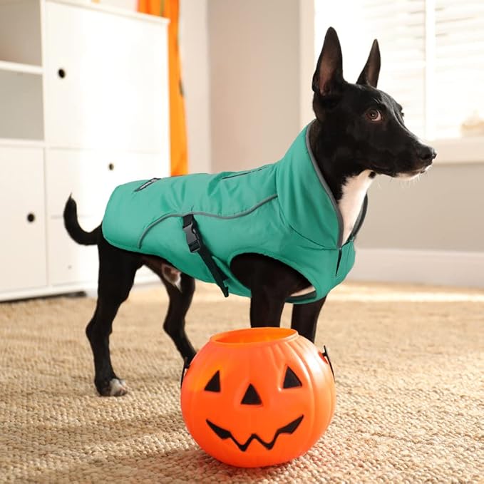 EMUST Winter Dog Jacket, Windproof Dog Apparel for Cold Weather, Reflective Coats for Dogs, Warm Puppy Jacket for Cold Winter, Turquoise, S