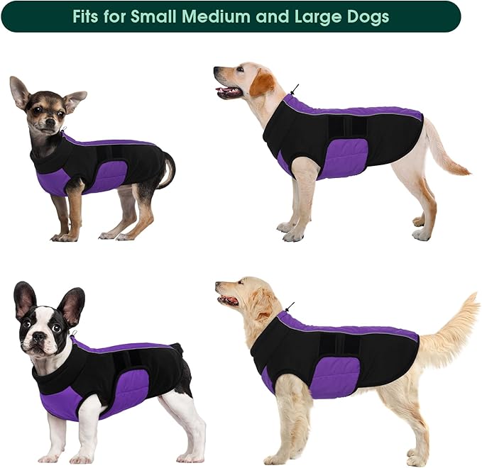 Kuoser Dog Jacket, Winter Dog Coats for Medium Dogs, Reflective Doggie Cold Weather Coats Pet Clothes, Puppy Snow Jacket for Frech Bulldog, Boston Terrier, Purple L