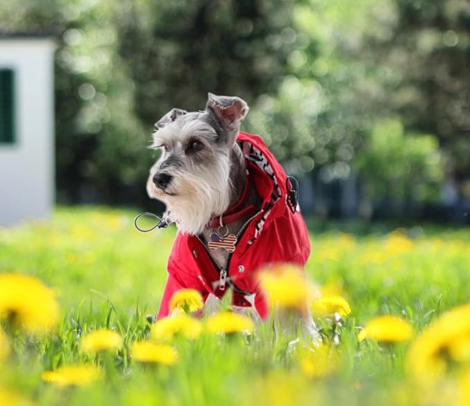 Morezi Dog Zip Up Raincoat with Reflective Buttons, Rain/Water Resistant, Adjustable Drawstring, Removable Hood, Raincoats with Legs 8lbs to 80lbs Available - Pink - XS