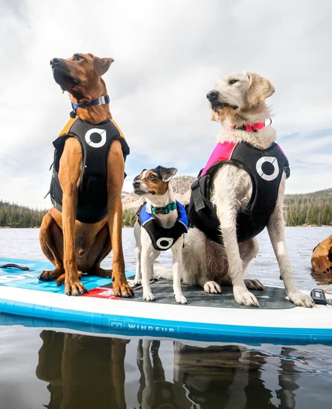 Stunt Puppy Float Doggy Life Jacket, Ergonomic Dog Life Vest for Swimming, Patented Design for Secure Fit, Medium Wide, Mango
