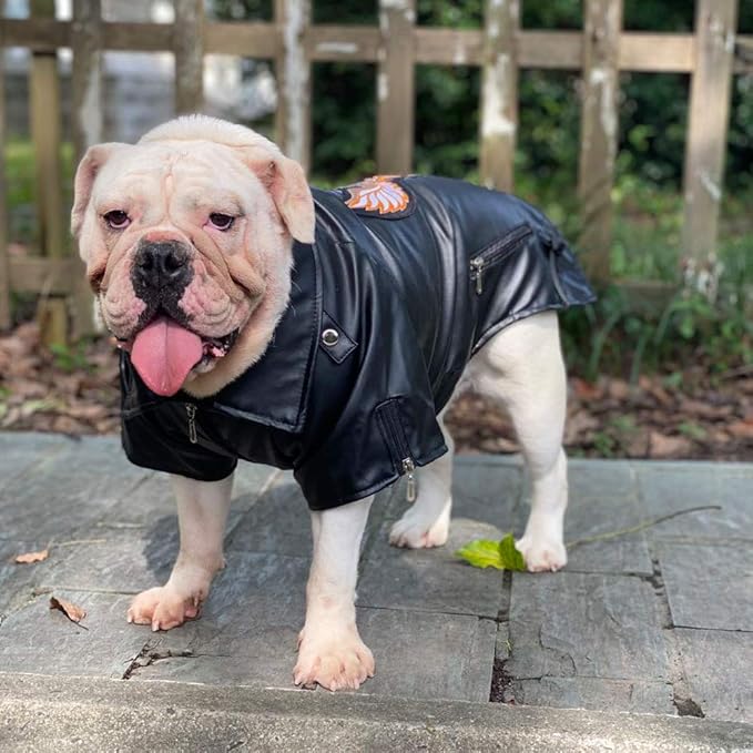 Lovelonglong Cool Dog Leather Jacket, Warm Coats Dogs Windproof Cold Weather Coats for Large Medium Small Dogs with Eagle Embroidery Black B-S