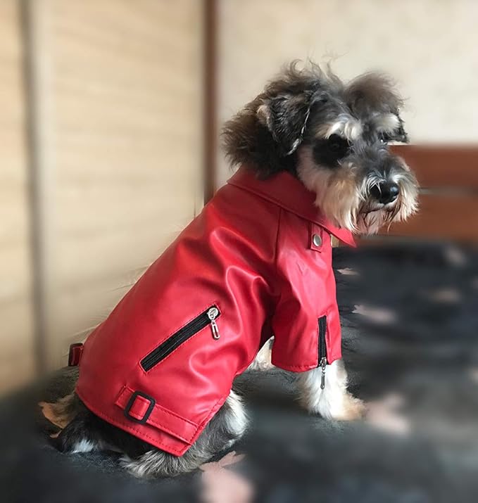 Lovelonglong Cool Dog Leather Jacket, Warm Coats Dogs Windproof Cold Weather Coats for Large Medium Small Dogs, Bichon Clothing Red XL