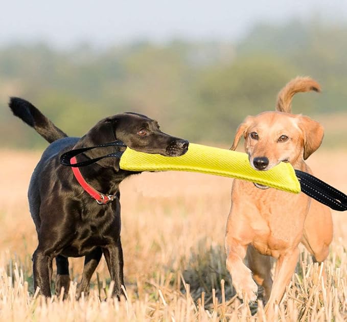 Clysoru Dog Tug Toy Dog,Double Pack Tough Jute Bite Pillow Training Equipment - Puppy to Large Dogs Interactive Toy.
