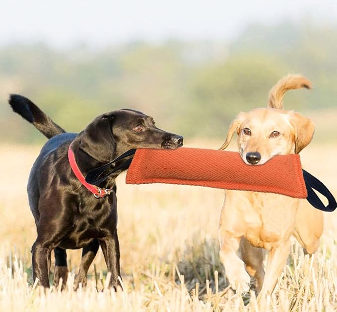 Clysrou Dog Tug Toy Dog Tough Jute Bite Pillow Lasting Training Equipment Puppy to Large Dogs Interactive Toy
