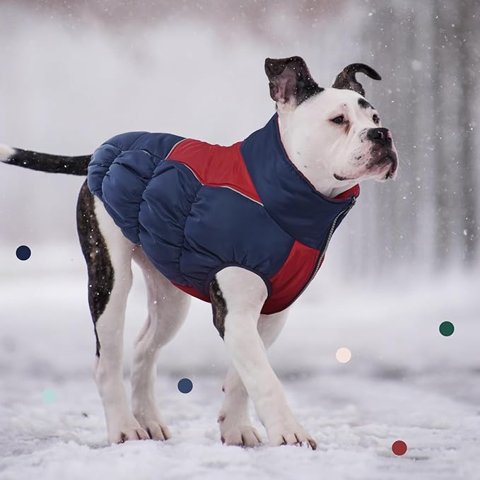 IECOii XL Dog Coat - Winter Waterproof, Extra Warm XLarge Dog Coat with Reflective Fleece Vest, Snowsuit with Zipper Closure, Turtleneck with Harness Hole