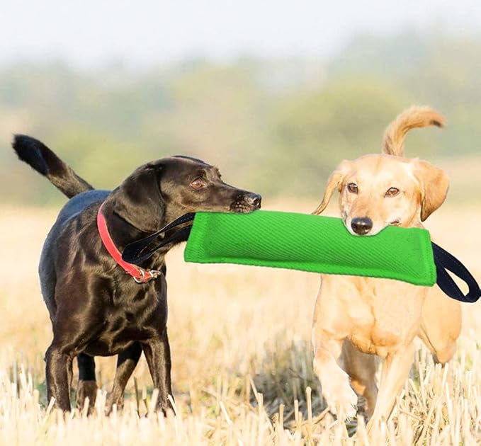 Clysrou Dog Tug Toy Tough Jute Bite Pillow Lasting Training Equipment Puppy to Large Dogs Interactive