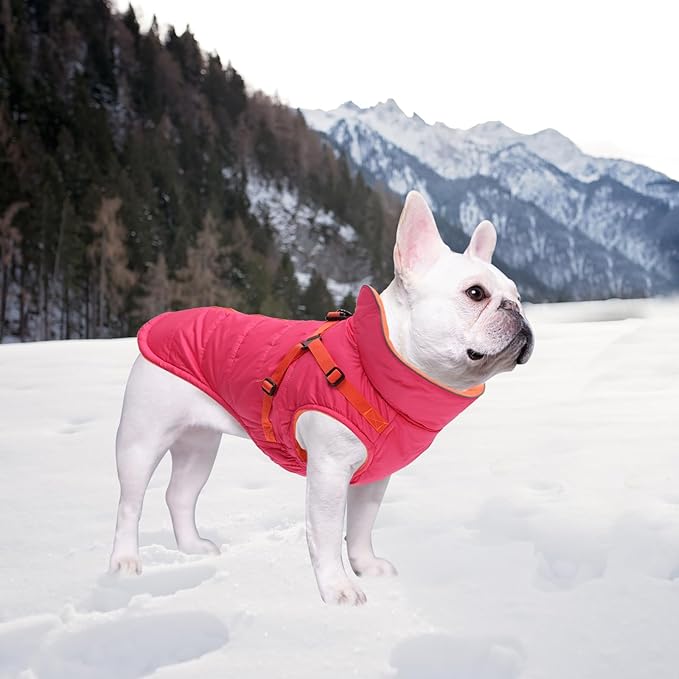 Geyecete Winter Warm Coat Waterproof Dog Winter Jacket with Harness Traction Belt,Windproof Pet Outdoor Jacket Dog Autumn-Pink-XXL