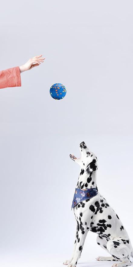Dog Balls, Indestructible Dog Toy Ball for Aggressive Chewers, Durable High Elasticity Interactive Ball for Training Dog Catch and Fetch, Large Medium Small Dog and Puppies(Blue, 2.5in, 2pcs)