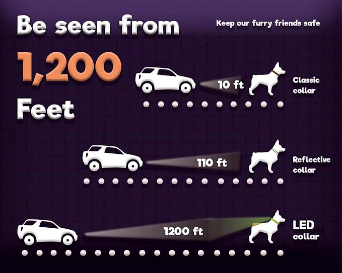 DOGWONG LED Dog Collar - Heavy Duty Light up Collars - Rechargeable Waterproof - Lighted Dog Collar for Night Walking, Hiking, Camping(Red,S)