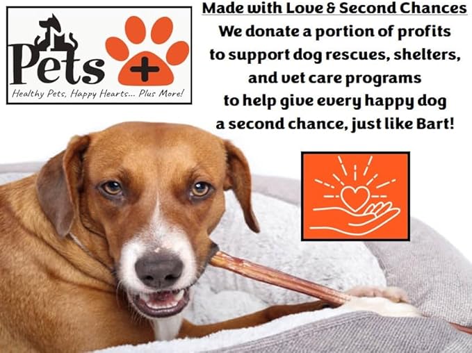 Pets Plus Premium Bart's Bully Sticks for Dogs – 6 Inch, Medium Size, All-Natural, Long-Lasting Chews for Moderate Chewers – High Protein, Low Odor, Grain-Free (5-Pack)