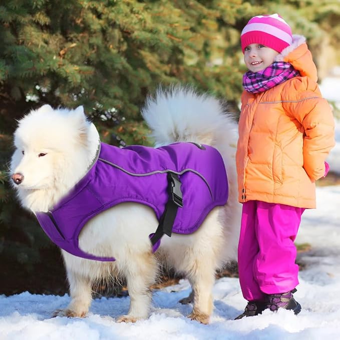 EMUST Dog Jacket Winter, Cozy Windproof Dog Jacket for Cold Weather, Solid Color Pet Vests for Winter for Medium Dogs, Purple, M
