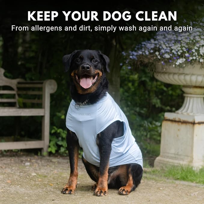 Spark Paws Sunblock Dog T-Shirt, SPF30 Protection, Lightweight Breathable Quick Dry for Dogs with Sensitive Skin - Blue & Grey (Set of 2) - 2XL
