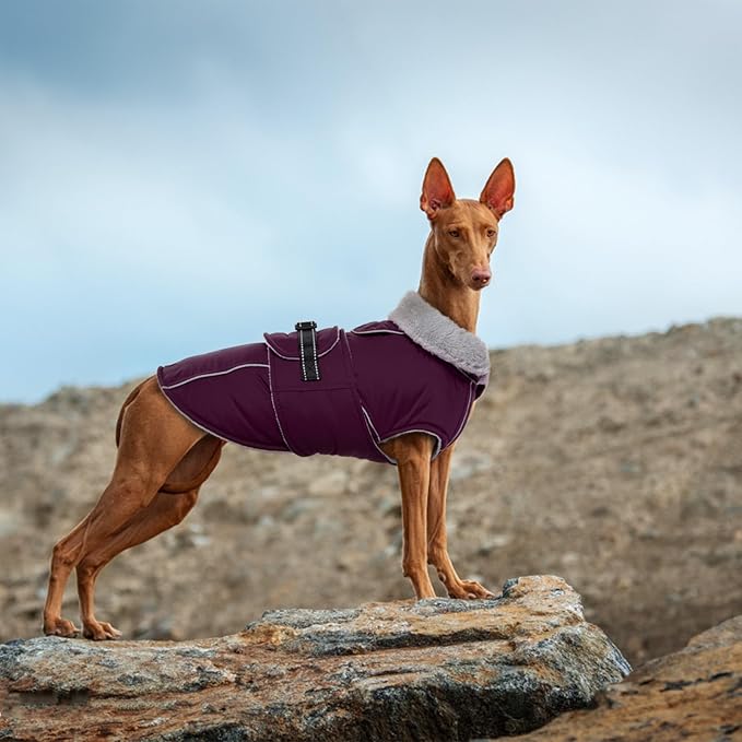 Lelepet Warm Dog Coat Waterproof Dog Jacket for Large Dogs Reflective Fleece Vest with Adjustable Buckle Hook & Loop Windproof Cold Weather Coats for Small Medium Large Dogs, Dark Purple, L