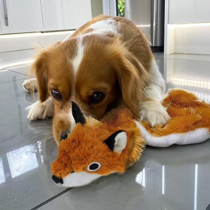Best Pet Supplies Squeaky Dog Toys with Soft Durable Fabric for Small, Medium and Large Pets Interactive Toy for Indoor Play, Supports Active Biting and Play - Fox, Raccoon, Medium