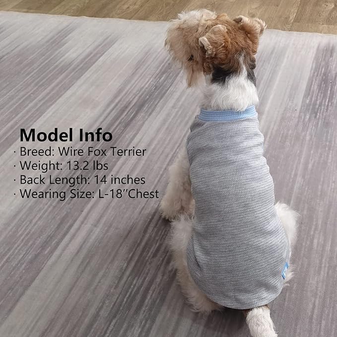 KYEESE 2Pack Dog Shirts Waffle for Small Dogs Stretchy Pet T-Shirts Lightweight Dog Tank Top Sleeveless Dogs Vest Breathable, X-Large, Blue+Grey