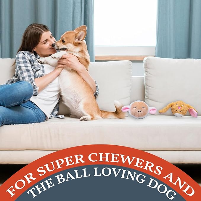 Flourish Pets 2 in 1 Multi-Layer Chew Toy for Active Dogs | Non-Toxic BPA Free Double Stitched Soft Fabric Exterior Dog Toys | Long-Lasting Dog Plush Toys β Easter 3.5" (2 Pack)