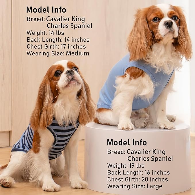 KYEESE 2Pack Dog Shirts Striped T Shirt Soft Tee for Small Dogs Cotton Tank Top Clothes Lightweight Sleeveless Dog Vest, X-Large,Dark Blue+Striped