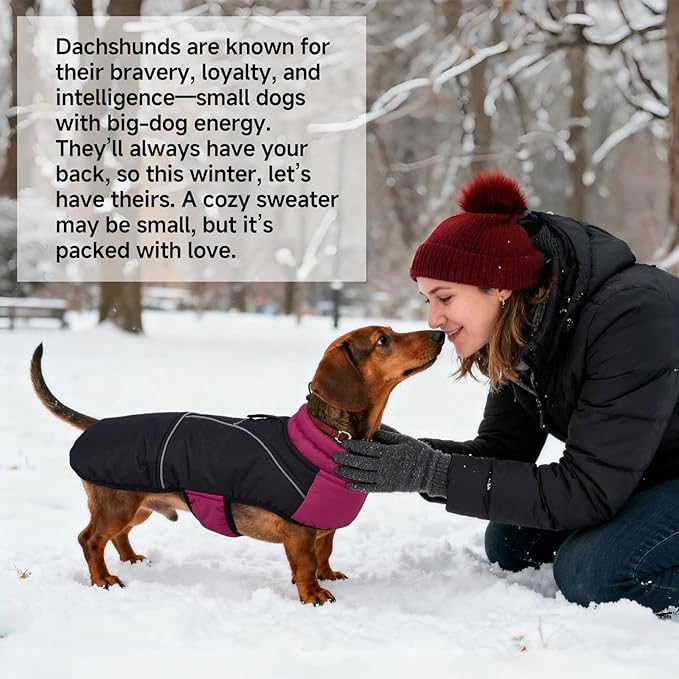 DORA BRIDAL Dachshund Coat, Fleece Lined Dog Winter Coat, Warm Dog Coats with Reflective Strips, Adjustable Waterproof Pet Jacket Clothes, S