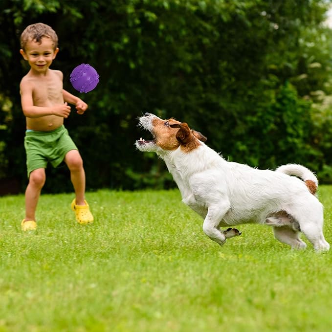 Hiboom 12 Pcs Squeaky Dog Toy Balls Reliable Rubber Squeaker Fun Interactive Puppy Chew Toys Outdoor Beach Ball for Large and Small Pet Aggressive Chewers