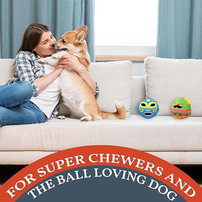 Flourish Pets 2 in 1 Multi-Layer Chew Toy for Active Dogs | Non-Toxic BPA Free Double Stitched Soft Fabric Exterior Dog Toys | Long-Lasting Dog Plush Toys β Cinco de Mayo 3.5" (2 Pack)