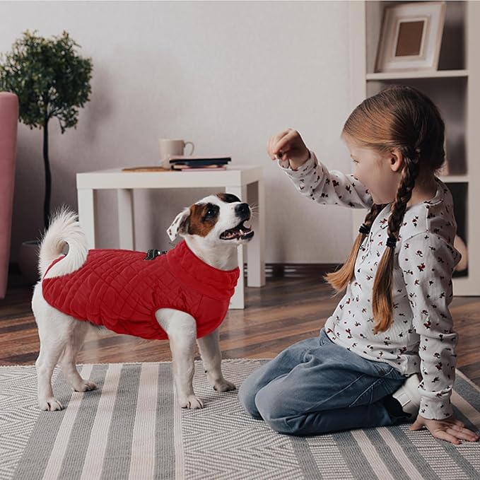 Kuoser Medium Dog Coat | All-Breed Thermal Wear with Windproof Layer | Reflective Tabs Enhance Visibility in Snow, Snap Buckles Simplify Dressing, Red L