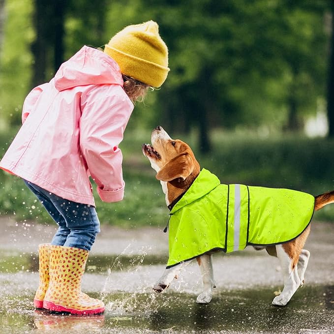 Hooded Dog Raincoat - Reflective Dog Rain Jacket Lightweight Waterproof Rain Coat for Small Medium Large Dogs (Large, Green)