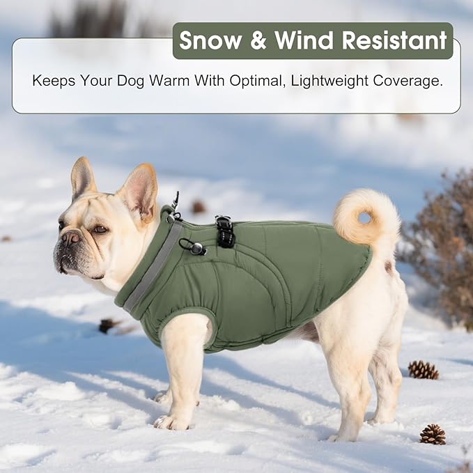SAWMONG Dog Coat, Warm Dog Winter Coat, Waterproof Fleece Jacket, Cold Weather Dogs Jacket (M,Green)