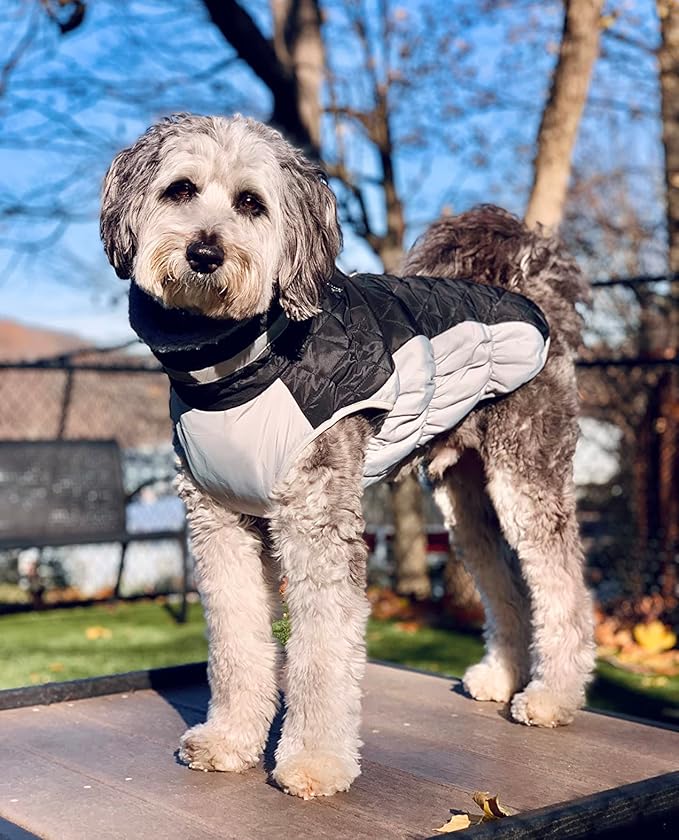 Lelepet Dog Coat Warm Dog Winter Coat Waterproof Dogs Jacket with Harness Built in Reflective Pet Fleece Vest Zip-Up Cold Weather Coats for Extra Large Dogs Turtleneck & Windproof Coats Great Dane 3XL
