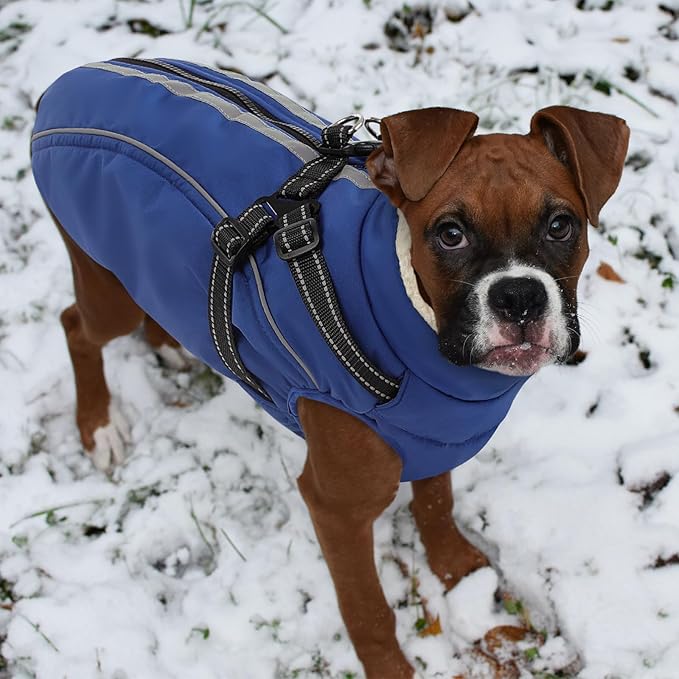 Dog Winter Coat with Harness Built in Warm Puffer Dog Jackets for Small Medium Large Dogs Windproof Waterproof Outfit with Plush Lining and Reflective Stripes (Blue, XS)