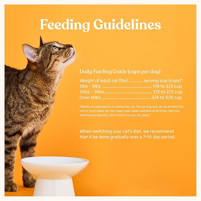 Made by Nacho Dry Cat Kibble 10lb Bag, High Protein Premium Cat Food with Freeze-Dried Pieces, Cage-Free Chicken, Duck & Quail, Limited Ingredients, Single Bag