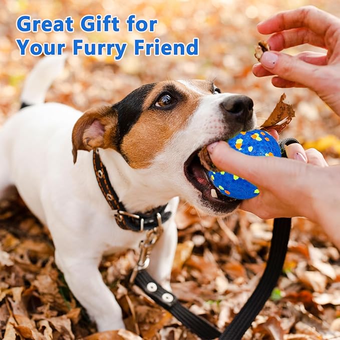 2Pcs Super Bouncy Dog Balls, Fun Indestructible Tennis Balls for Aggressive Chewers, Durable Floating Fetch Toys for Small Dogs with Lifetime Replacement