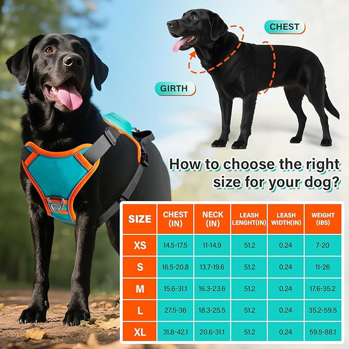 No Pull Dog Harness, 2 in 1 Retractable Harness with Auto-Lock, Reflective Breathable Mesh and Handle, Adjustable Leash Set for Small, Medium,Large Dogs,Cats (Color 1, XL)