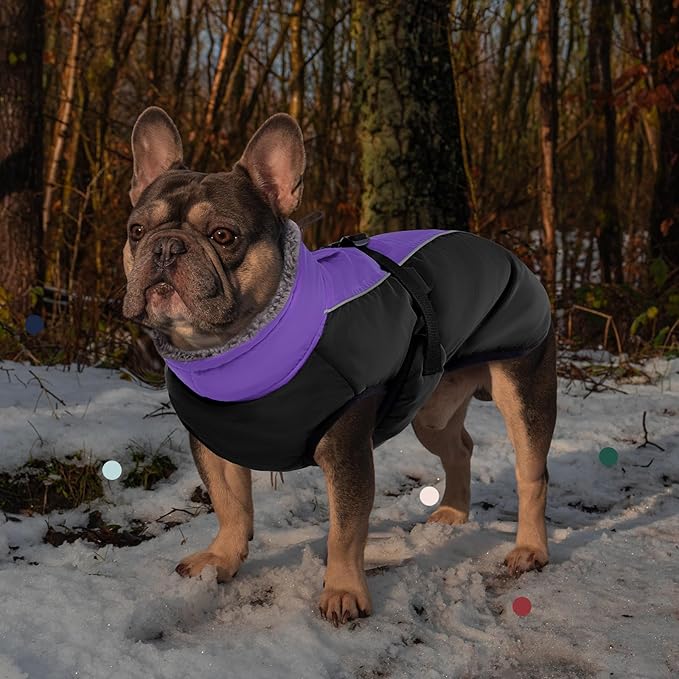 IECOii Extra Warm & Reflective Dog Jacket - Fleece Turtleneck Winter Coat - Adjustable Buckles - Small to Extra Large - Perfect for Cold Weather