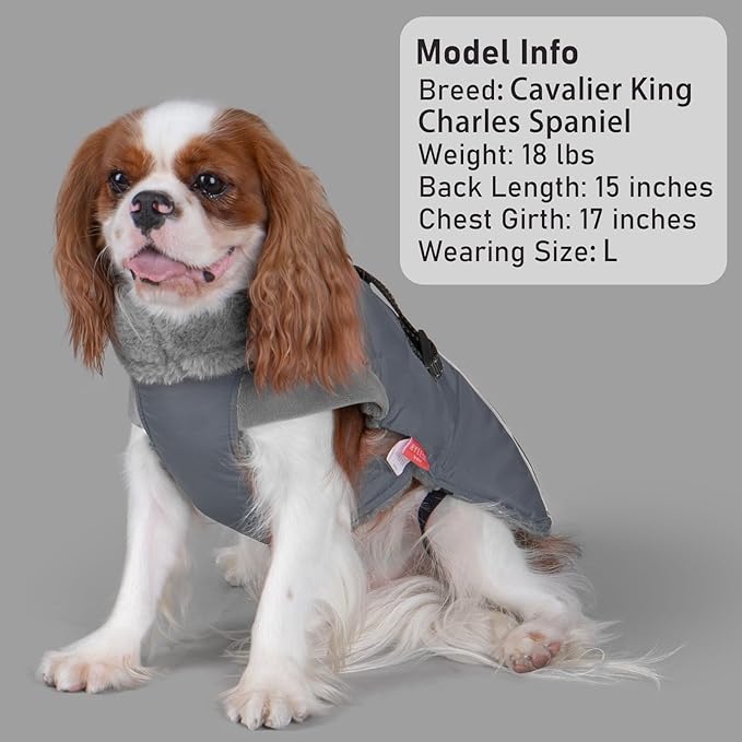 KYEESE Waterproof Dog Coat, Windproof Pet Jacket with Thick Fleece Lining, Extra Warm High Collar Dog Coats for Medium to Large Dogs with Leash Hole and Reflective Strips, Gray, XX-Large