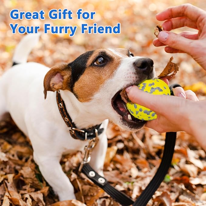 2Pcs Super Bouncy Dog Balls, Fun Indestructible Tennis Balls for Aggressive Chewers, Durable Floating Fetch Toys for Small Dogs with Lifetime Replacement