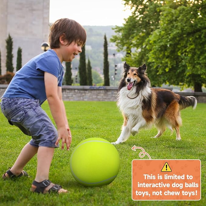 QDAN Giant Large Tennis Ball for Dogs: 9.5" Premium Balls for Dog for Outdoor Play, Big Tennis Ball Dogs Toy, Tennis Ball for Small Medium Large Dog, Pet Balls, Yellow