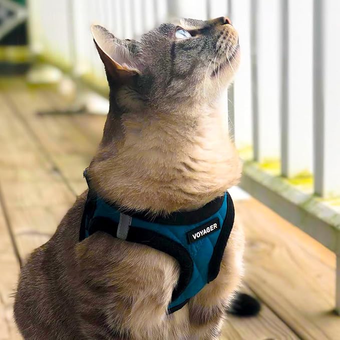 Best Pet Supplies - All Weather Mesh / Plush, Reflective, No Pull Harness for Small, Medium Dogs, Cats - Secure with Hook & Loop Fastener, Buckle, Double D-Rings - Turquoise Plush, XL