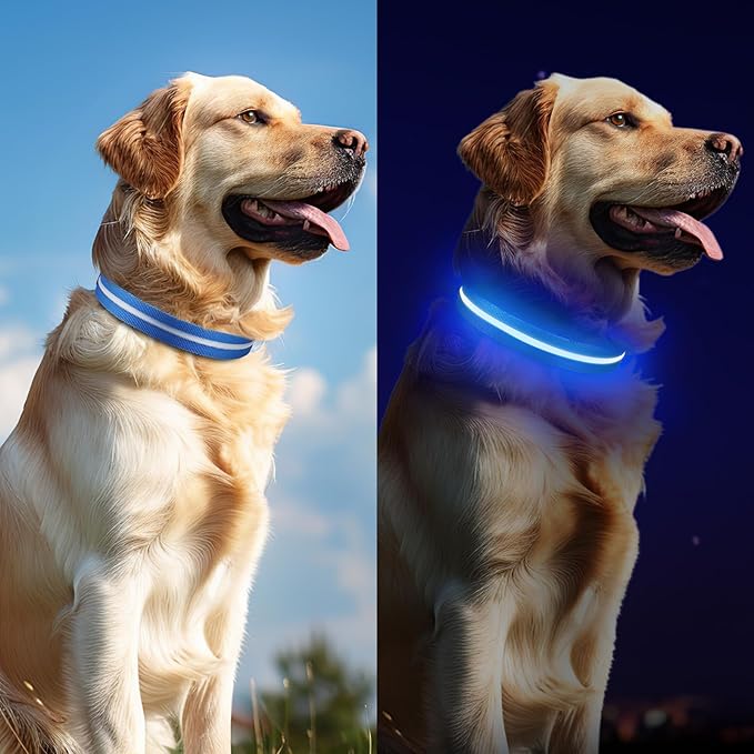 Jewyow Light Up Dog Collar, Adjustable USB Rechargeable Glow in Dark Dog Collar ,Waterproof Dog Collars for Medium Dogs (Blue, Medium)