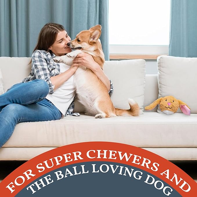 Flourish Pets 2 in 1 Multi-Layer Chew Toy for Active Dogs | Non-Toxic BPA Free Double Stitched Soft Fabric Exterior Dog Toys | Long-Lasting Dog Plush Toys β Bunny 3.5"