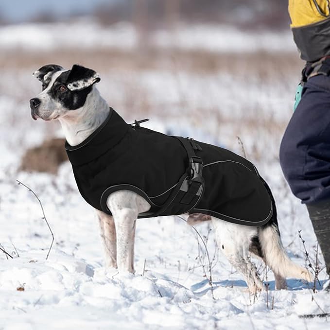 Warm Dog Coat for Winter,Waterproof Jacket with Zipper,Detachable Dog Coat with Adjustable Buckle,Comfortable Jacket for Dogs in Cold and Windy Days.S Black
